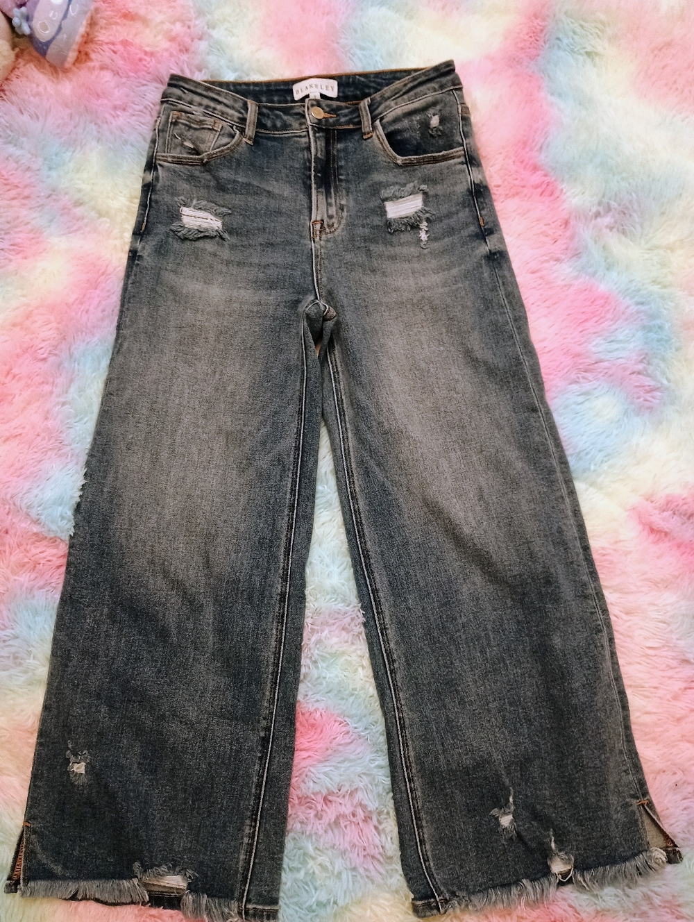 Blakely Cropped Distressed Wide-Leg Jeans